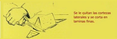 paso 3